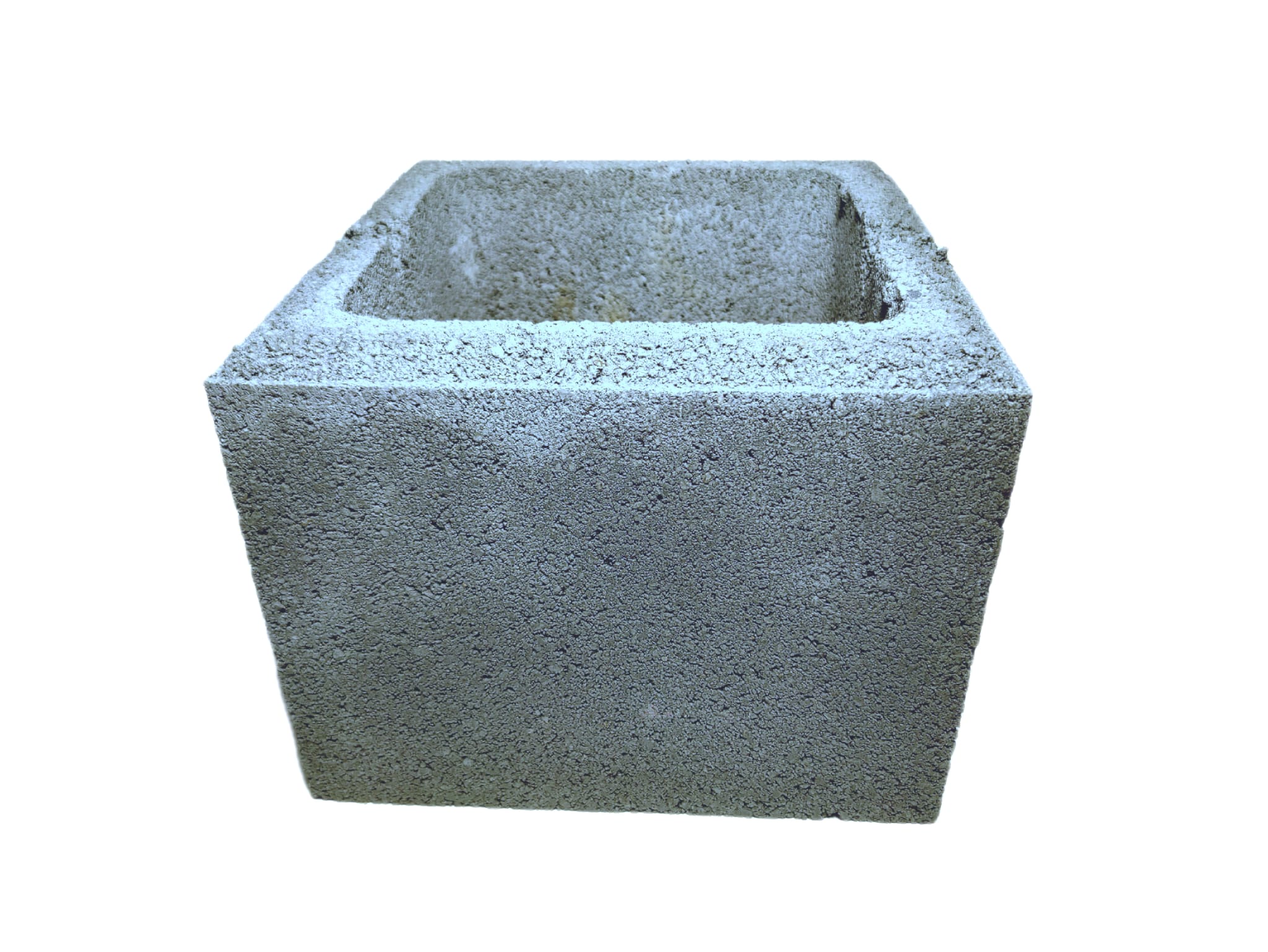 WhatsApp Image 2025-12-12 at 2.26.59 PM