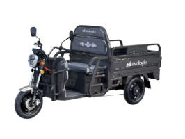 Triciclu Electric Cargo Balaur TRCC1000